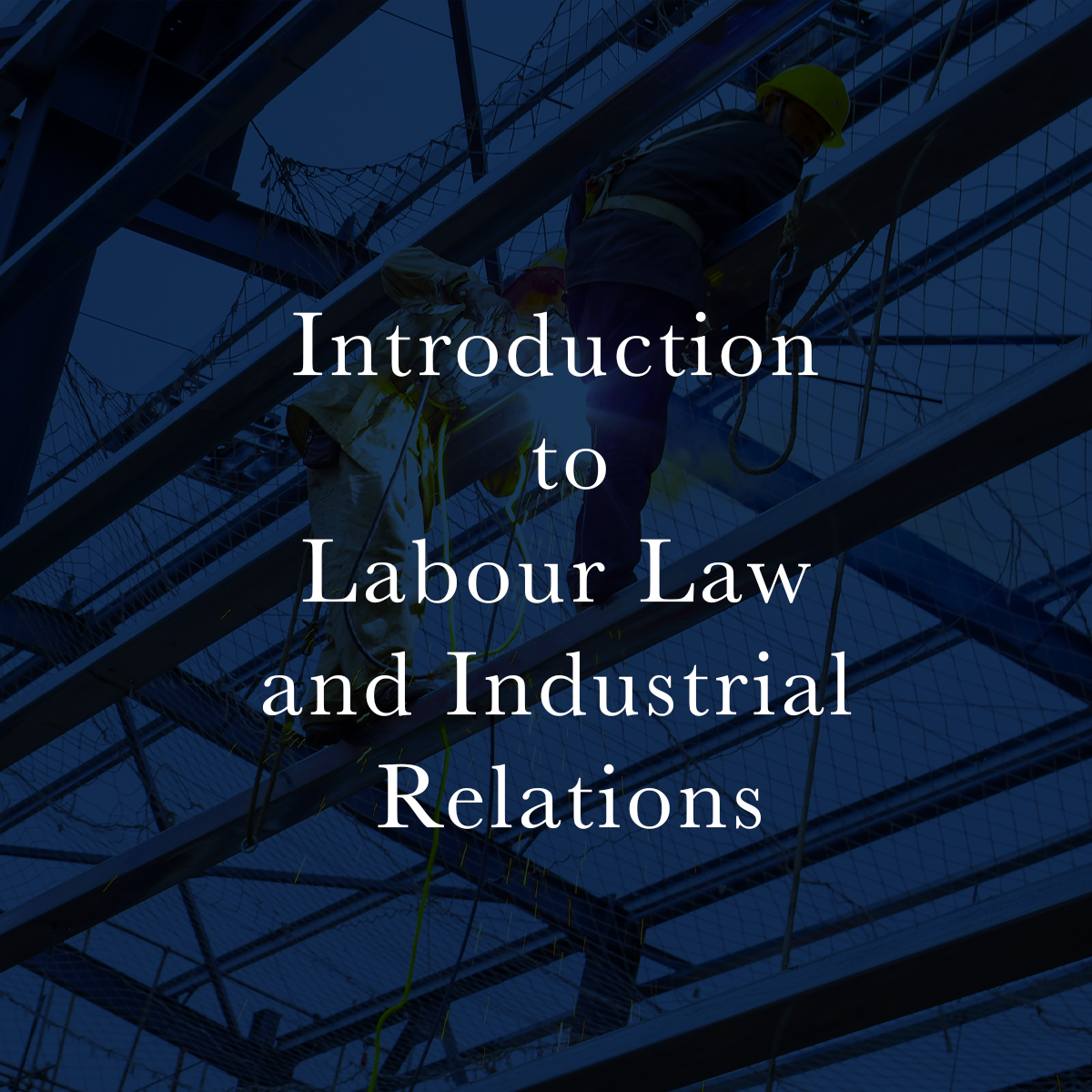 labour law case study pdf